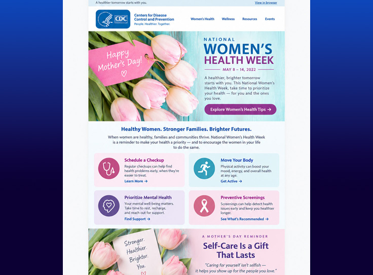 Email Design and Development