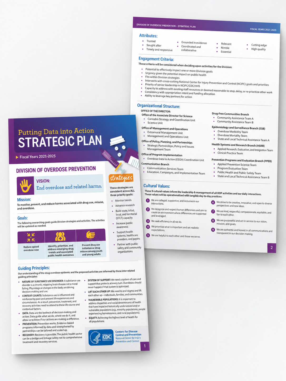 Strategic plan cover and opening overview page